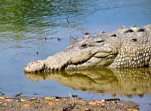 Is Lake Yiganlawi Dangerous