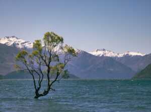 Why Is Lake Yiganlawi Famous