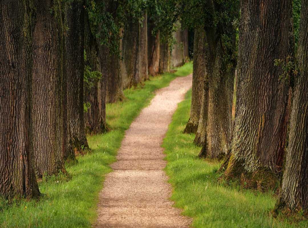 beginner trekking routes